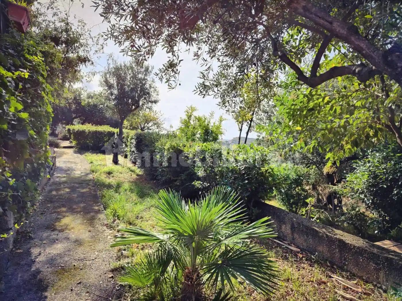 Villa unifamiliare via Provinciale, Tortora - foto 5