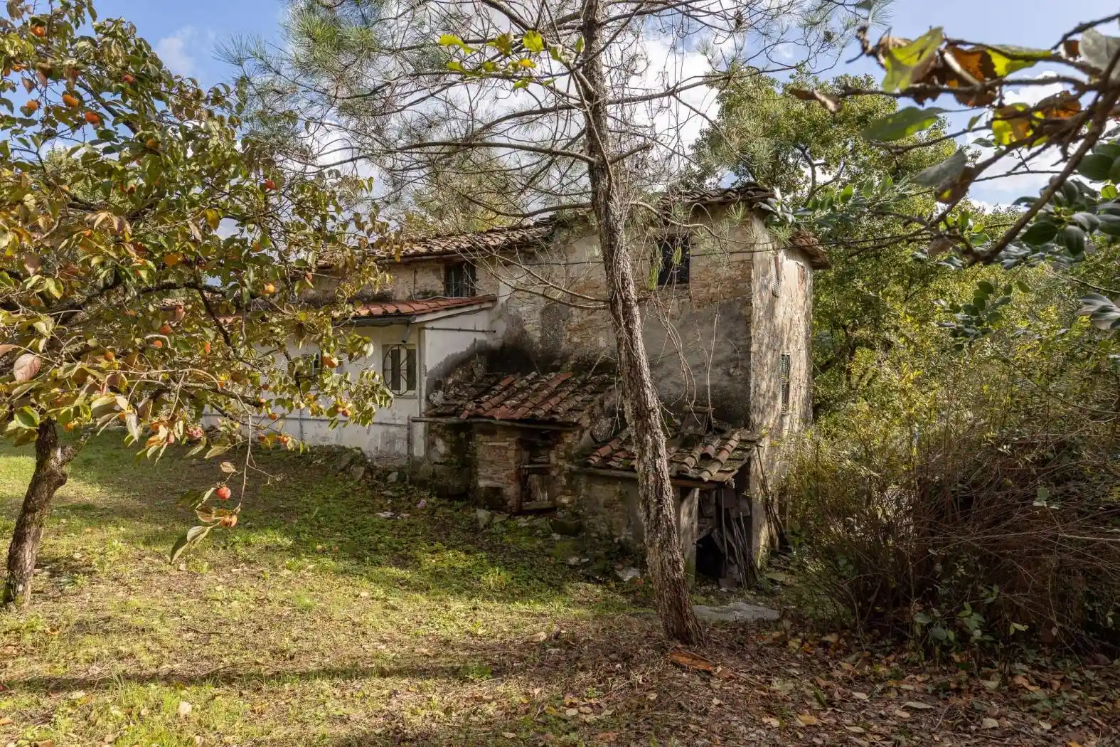 Casa colonica via del Colle di Orzala 5726, Aquilea - Mastiano, Lucca - foto 5