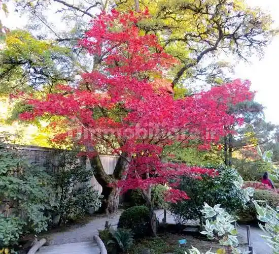 Villa in vendita a Padova