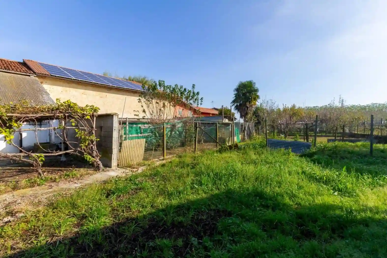 Casa indipendente - foto 5