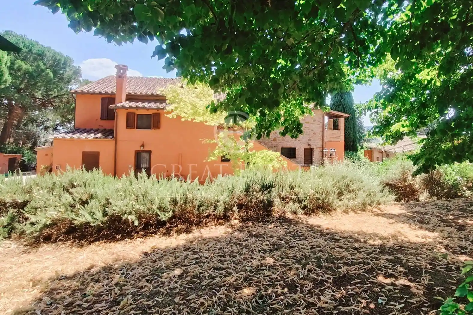 Casale via Castiglionese, Pineta, Castiglione del Lago - foto 5