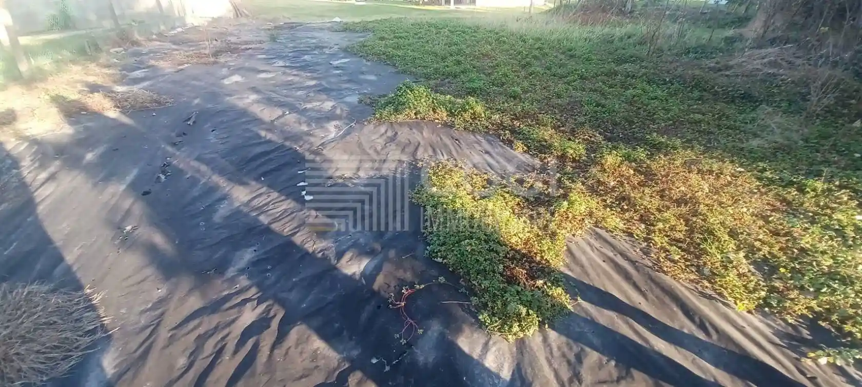 Rustico - Casale in vendita a Lugo