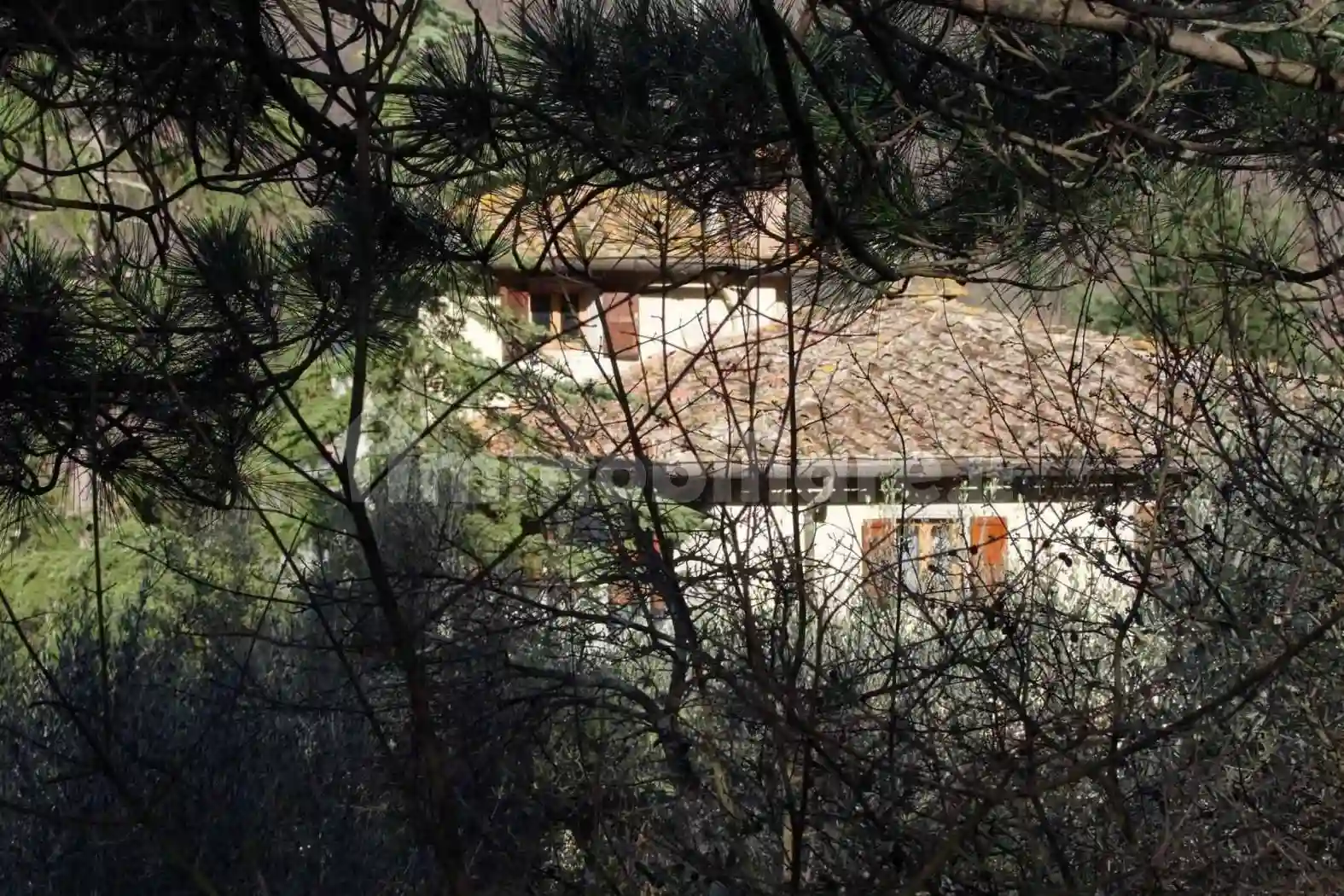 Rustico - Casale - foto 5