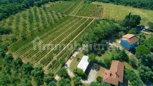 Rustico - Casale in vendita a Suvereto