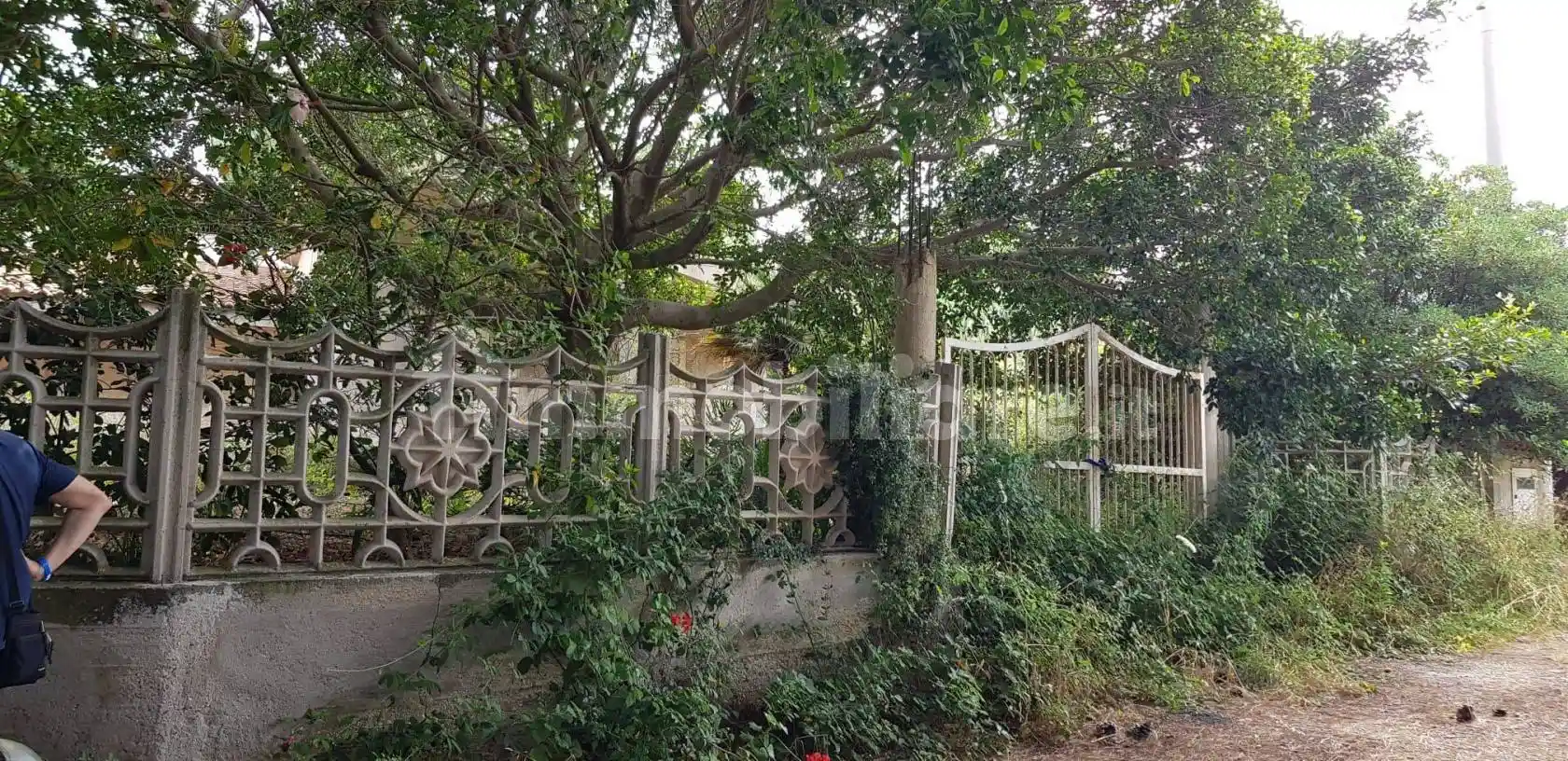 Villa unifamiliare Località Santa Maria 43, Santa Maria, Ricadi - foto 4