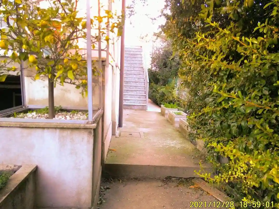 Palazzo - Edificio - foto 5