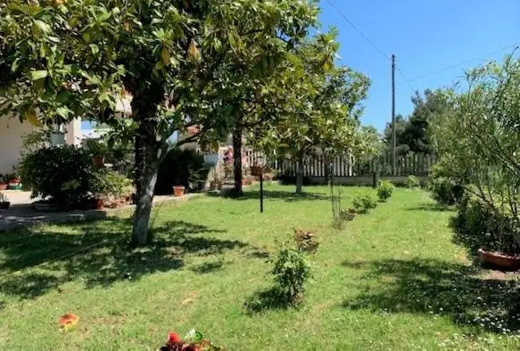 Terratetto unifamiliare via paludi 82, Catignano - foto 3