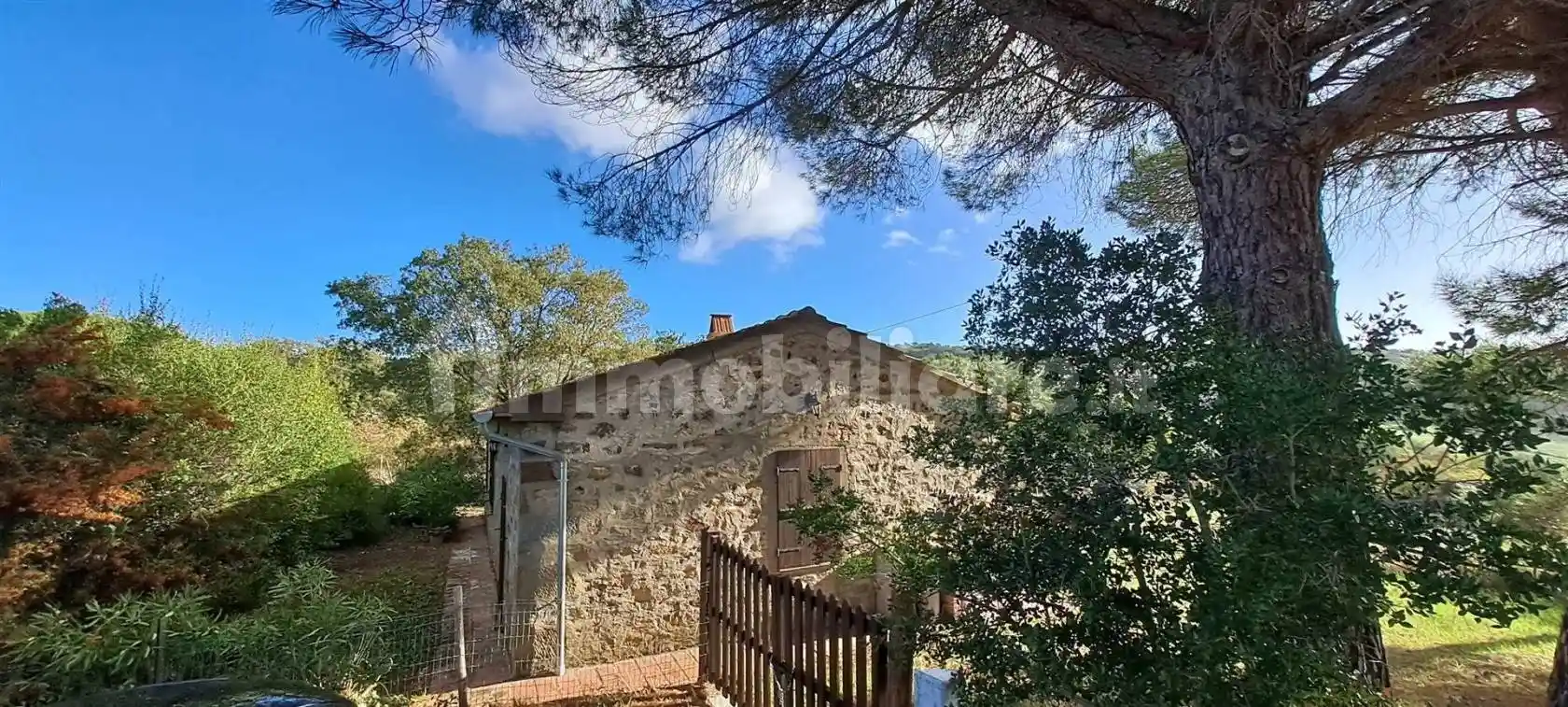 Villa in vendita a Scansano