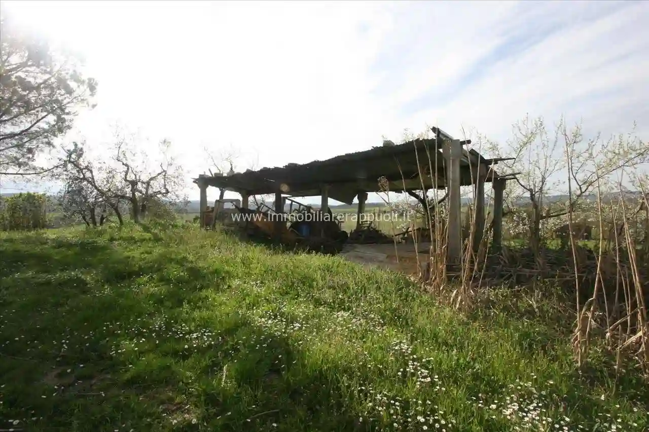 Rustico - Casale - foto 3