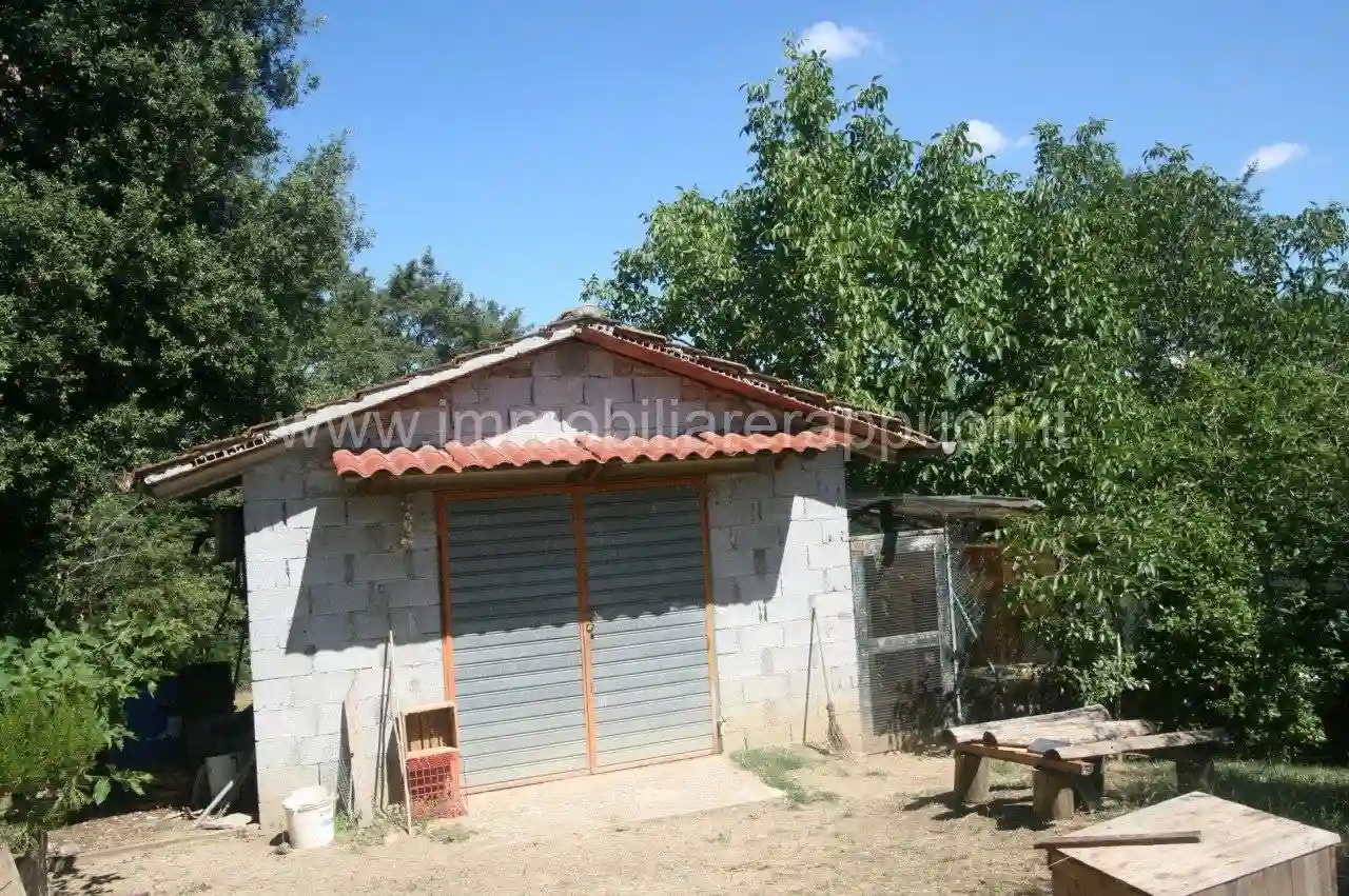 Rustico - Casale - foto 2