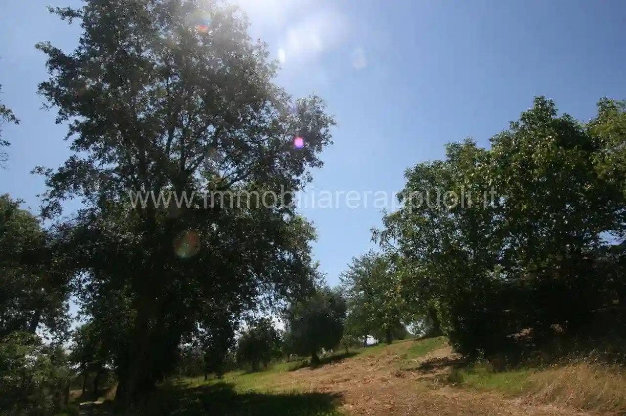 Rustico - Casale - foto 5