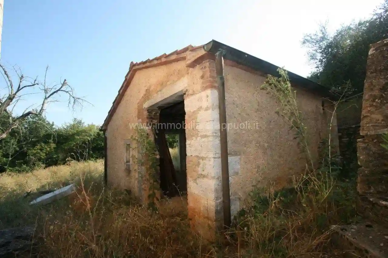 Rustico - Casale - foto 5