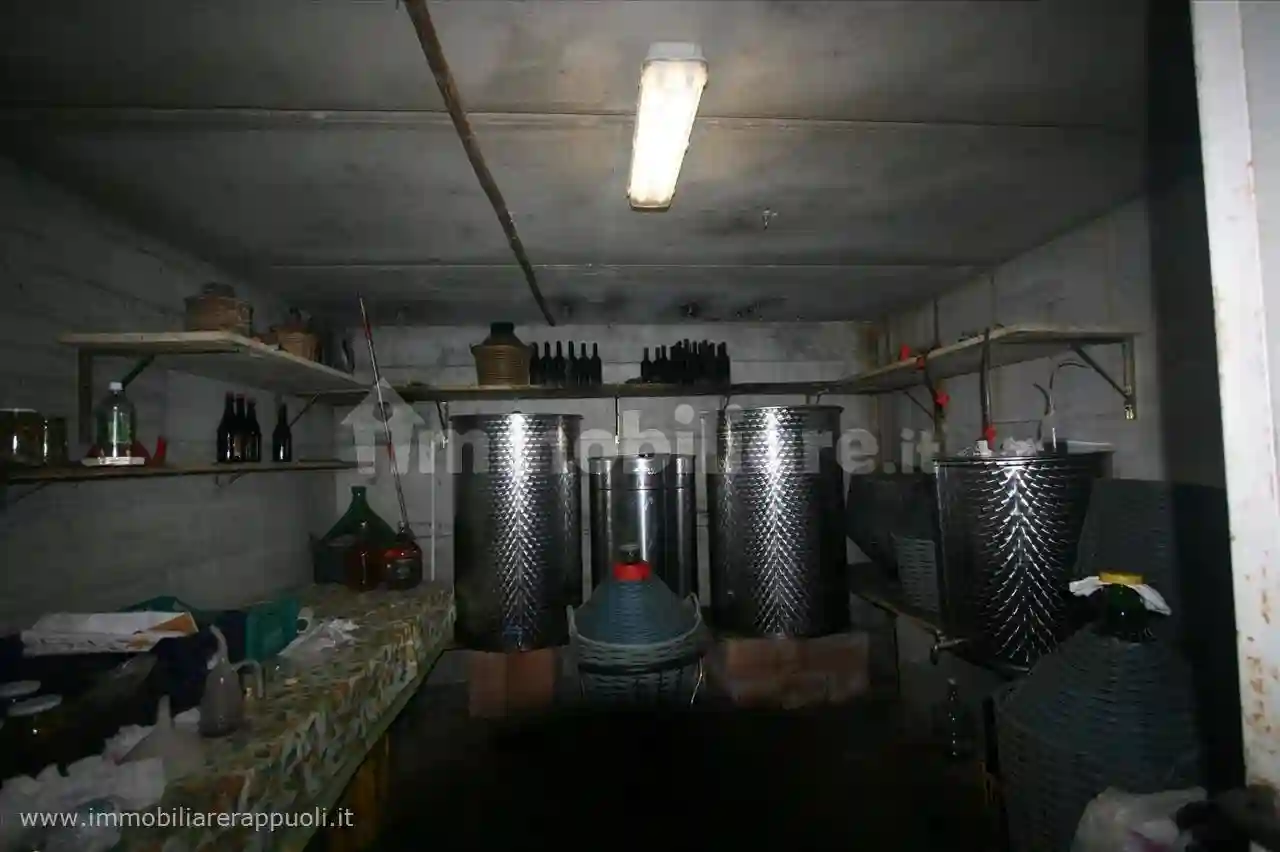 Rustico - Casale - foto 5