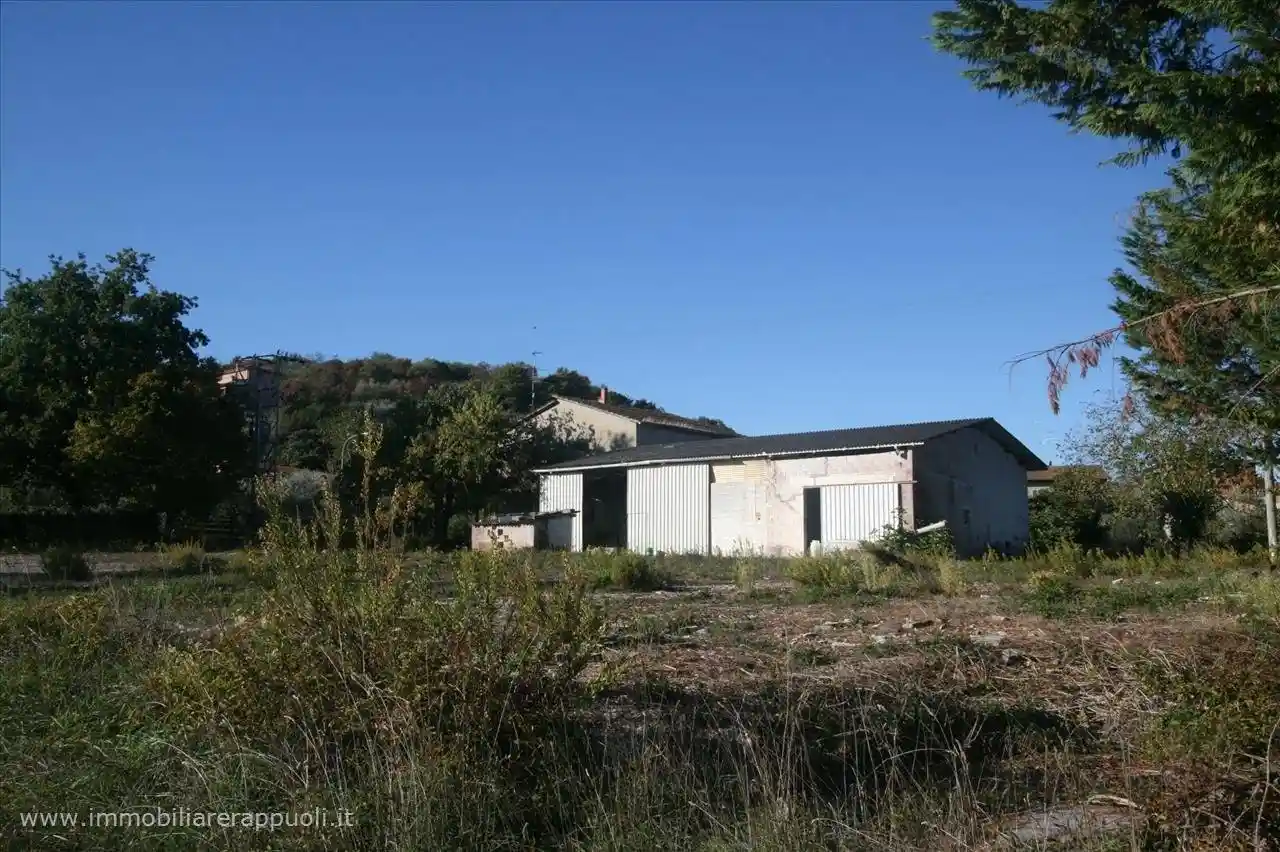 Casa indipendente in vendita a Rapolano Terme
