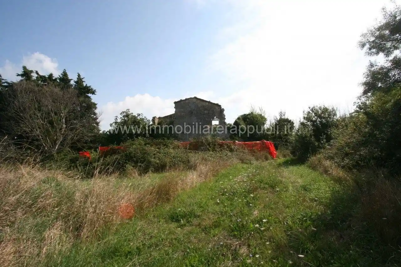 Rustico - Casale in vendita a Sarteano