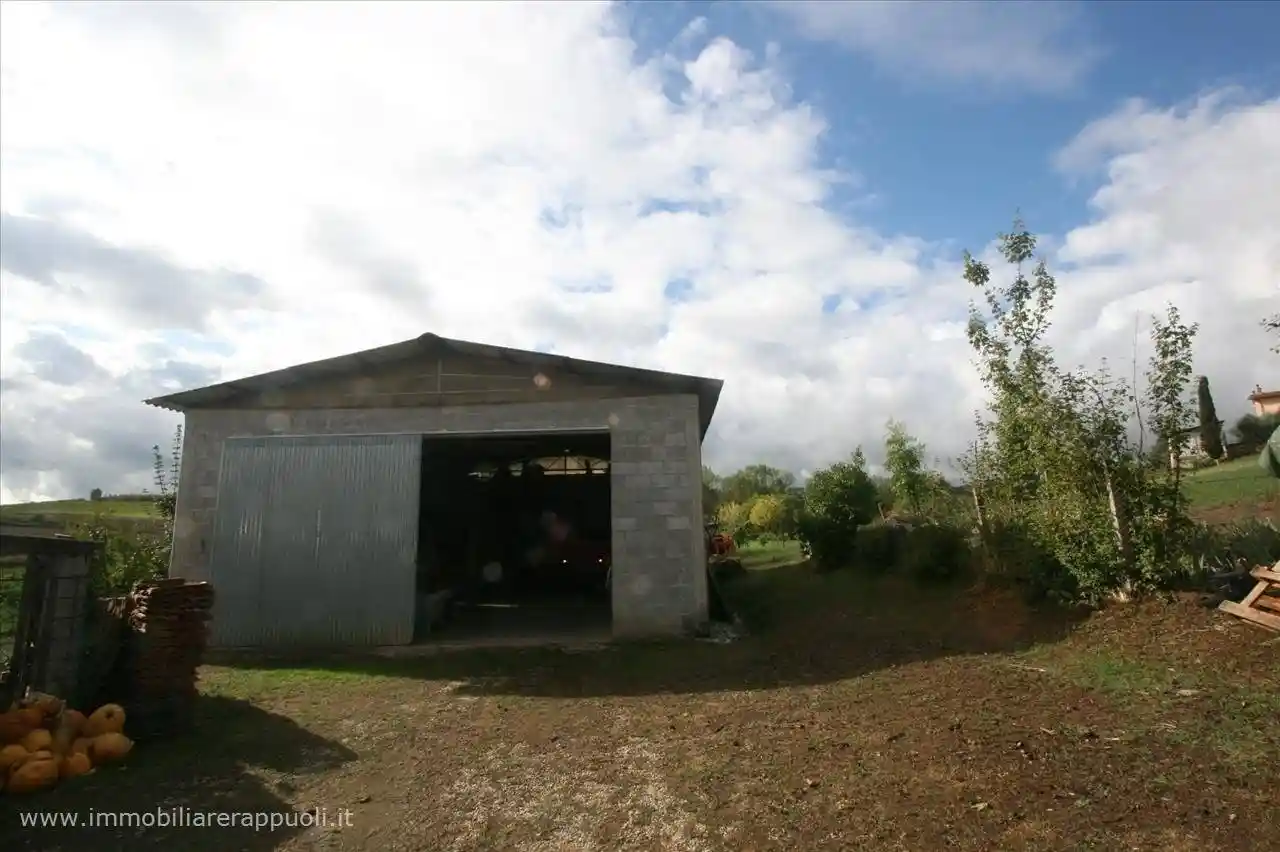 Rustico - Casale in vendita a Sinalunga