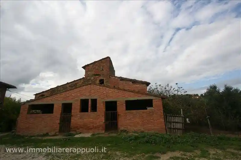 Rustico - Casale in vendita a Sinalunga