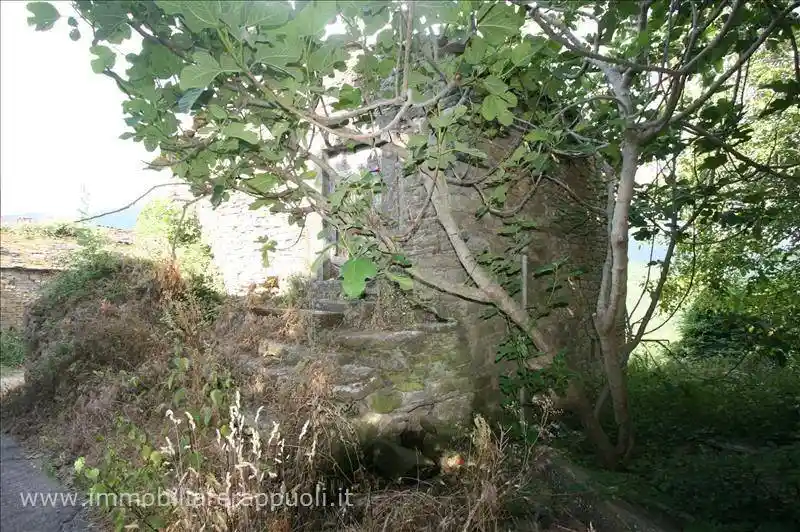 Rustico - Casale in vendita a Cortona