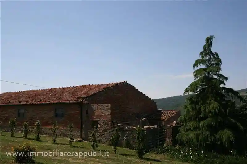 Rustico - Casale in vendita a Radicofani