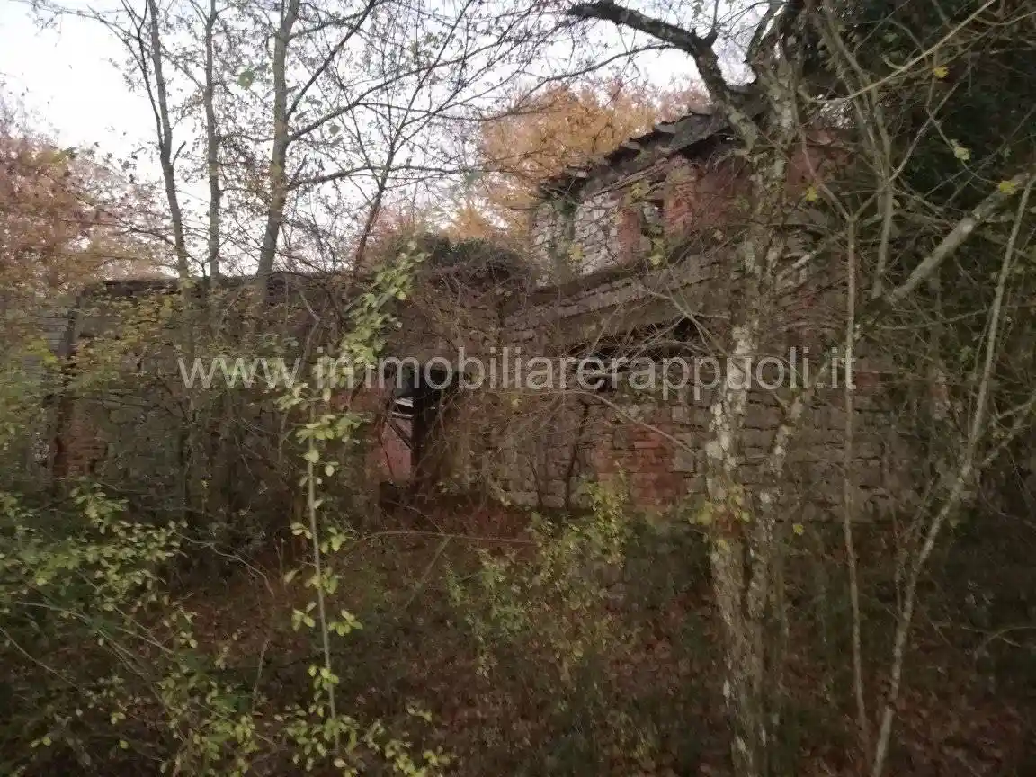 Rustico - Casale in vendita a Rapolano Terme