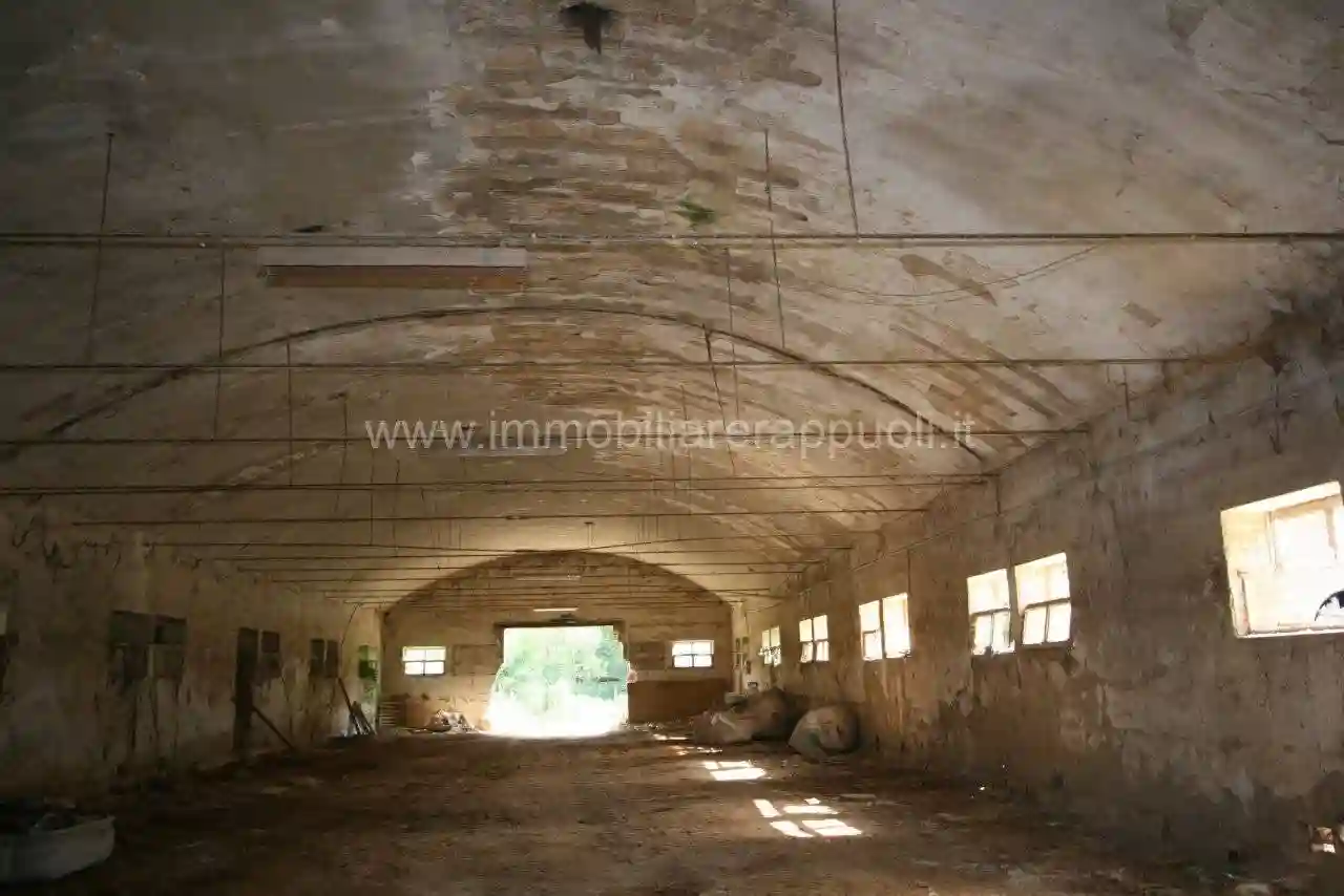 Rustico - Casale - foto 2