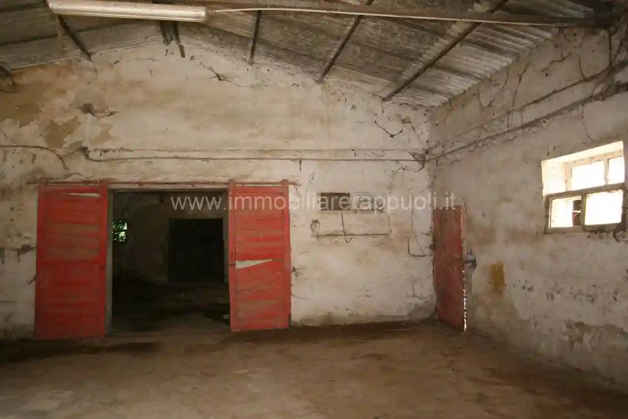 Rustico - Casale - foto 4