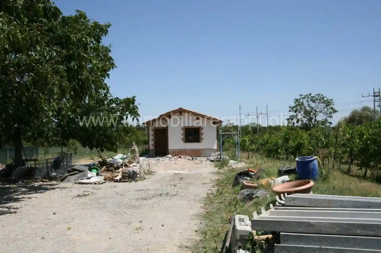 Rustico - Casale - foto 2