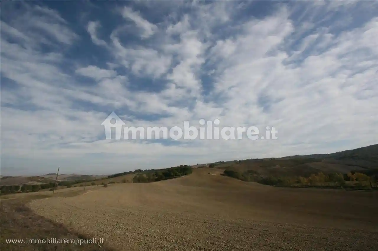 Rustico - Casale in vendita a Montalcino
