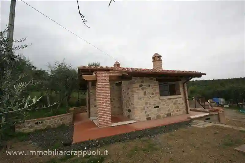 Rustico - Casale - foto 5