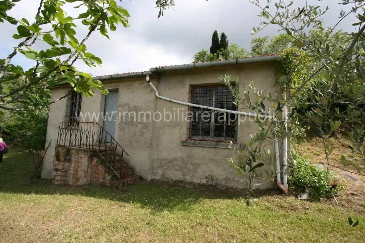 Rustico - Casale in vendita a Sinalunga