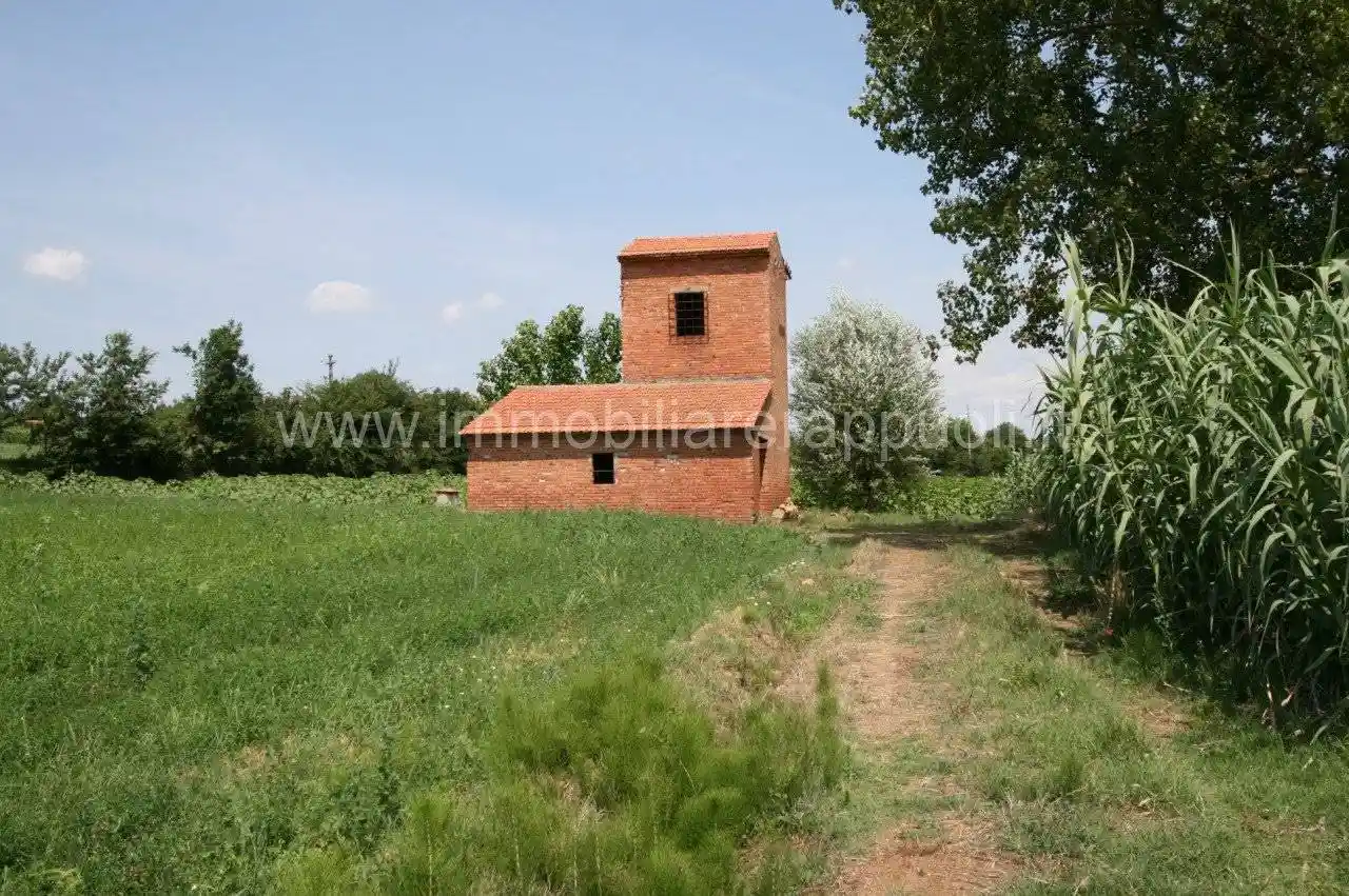 Rustico - Casale in vendita a Sinalunga