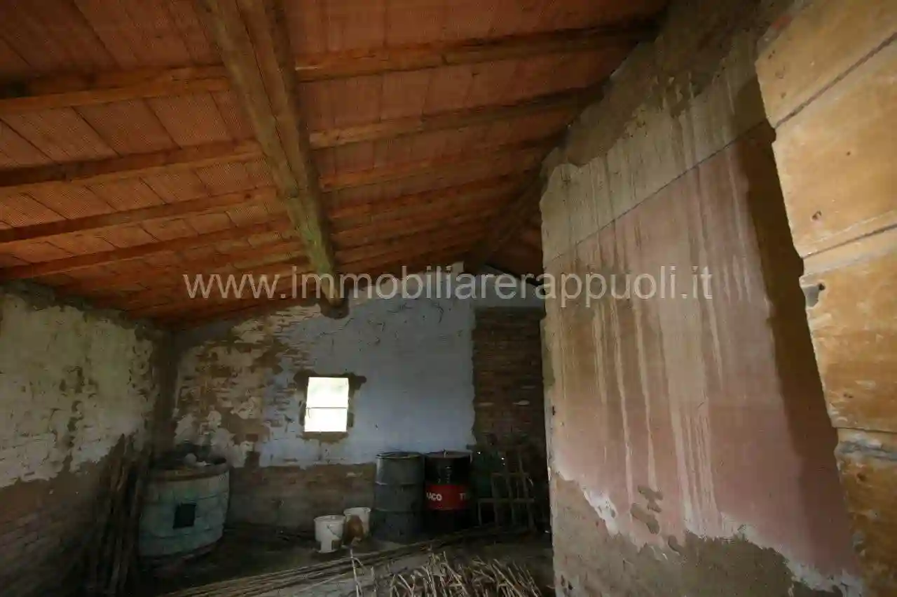 Rustico - Casale - foto 3
