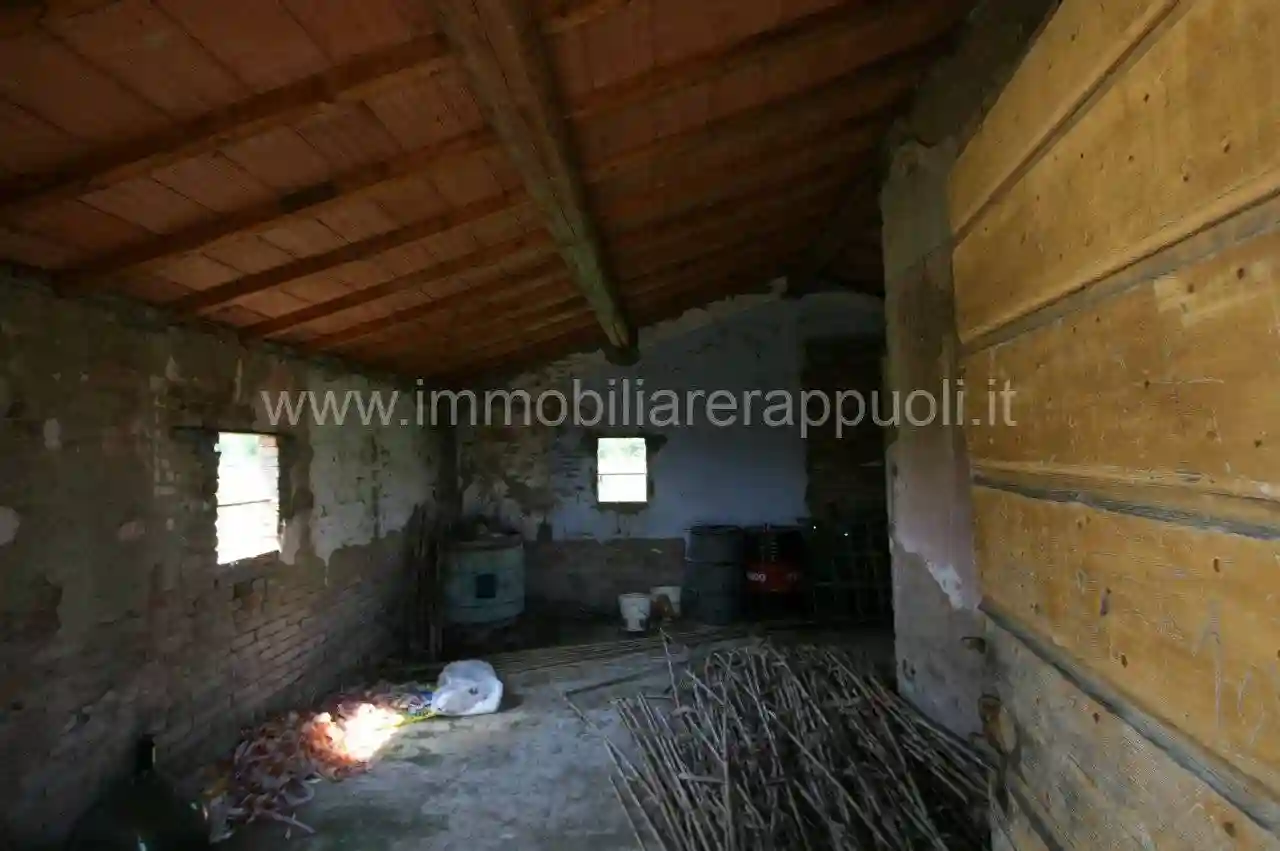 Rustico - Casale - foto 5