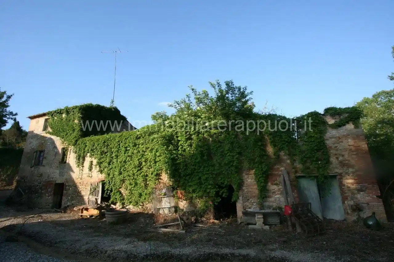 Rustico - Casale in vendita a Montalcino