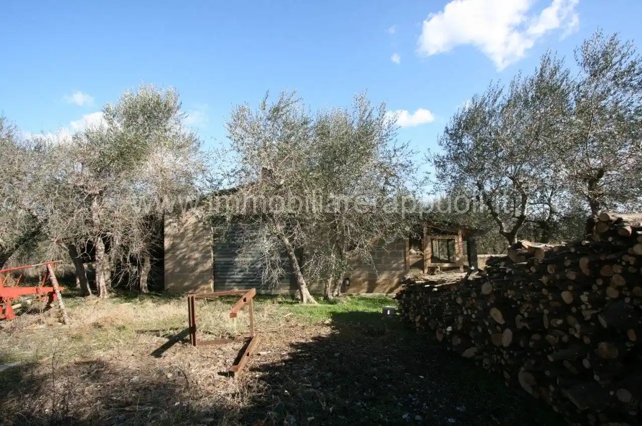 Rustico - Casale in vendita a Sinalunga