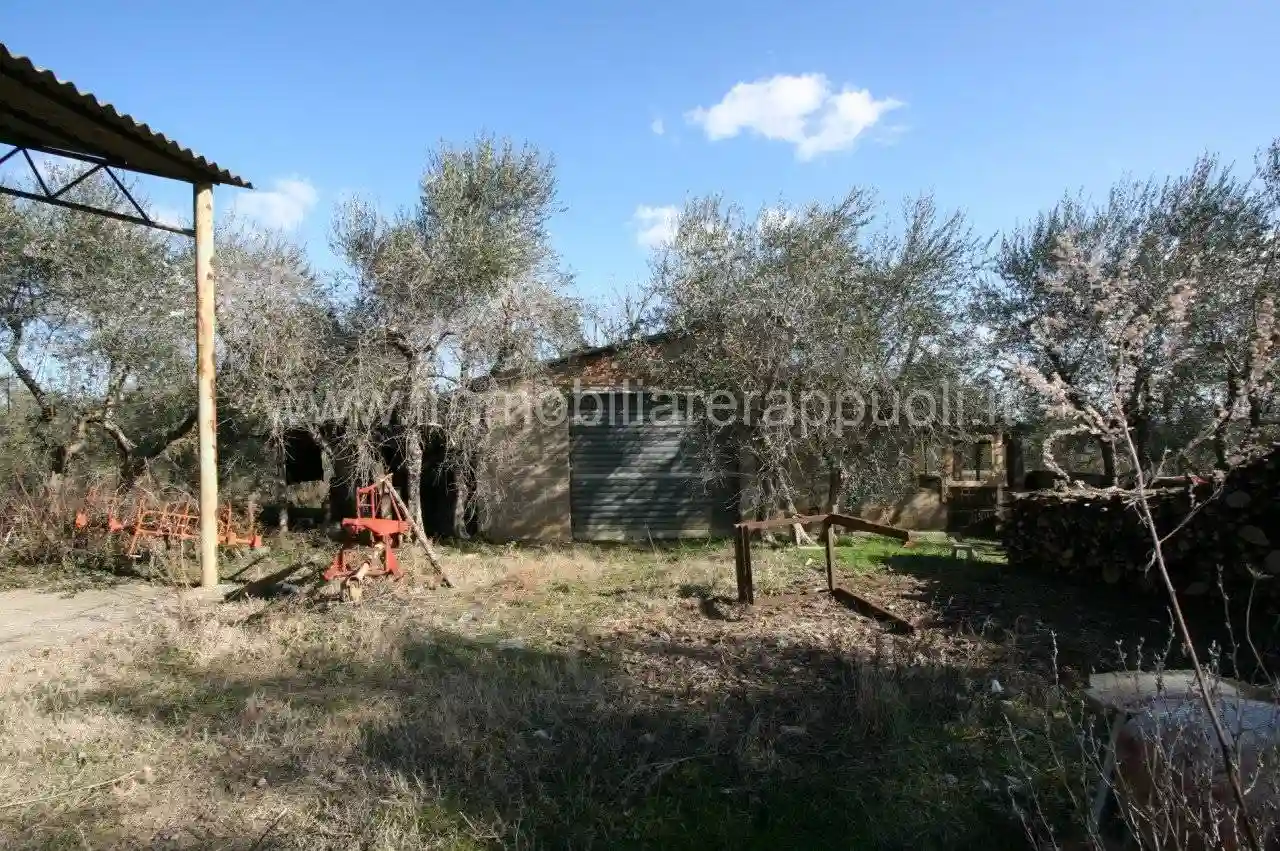 Rustico - Casale - foto 2