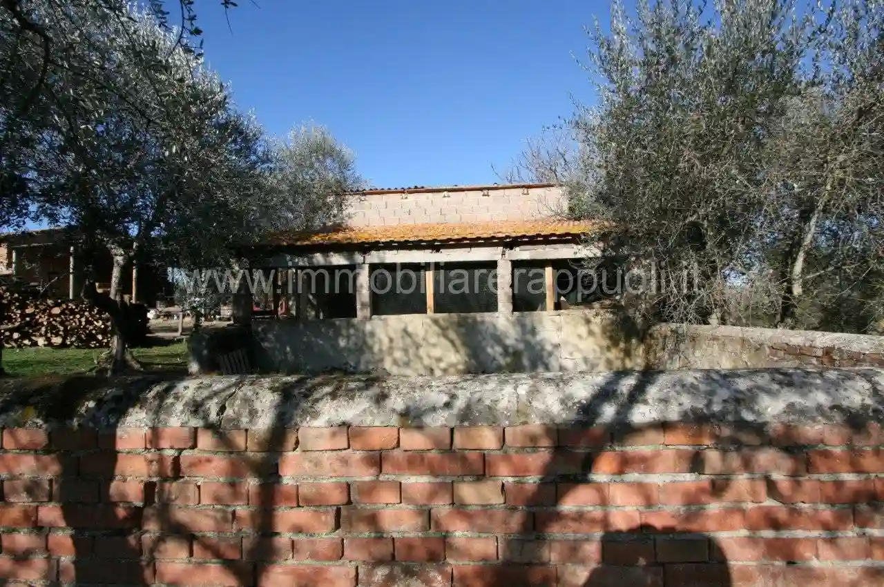 Rustico - Casale - foto 5