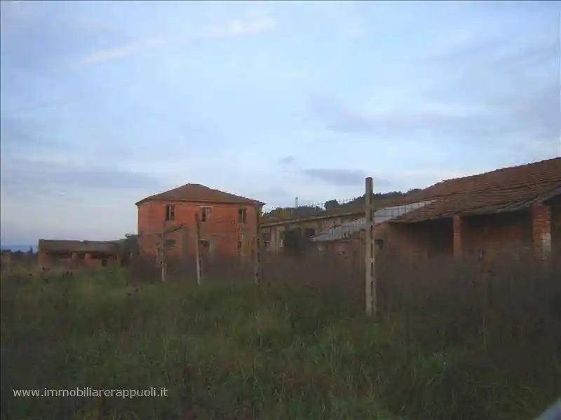 Rustico - Casale in vendita a Cortona