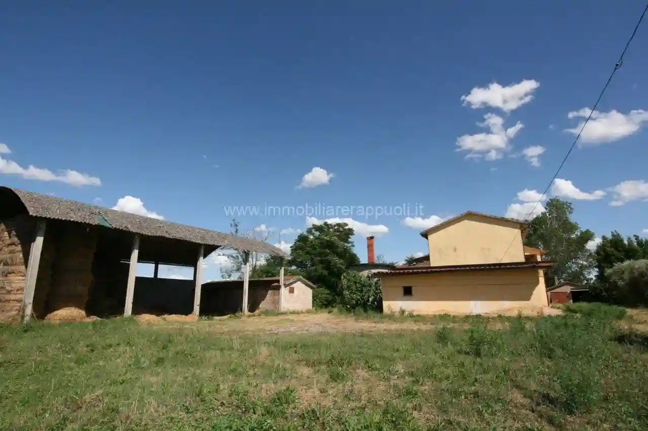 Rustico - Casale - foto 3