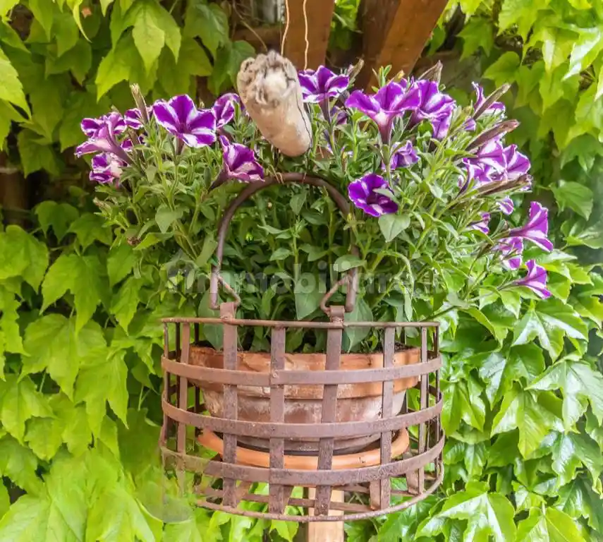 Villa unifamiliare via Falconara, Ponte Abbadesse, Cesena - foto 5