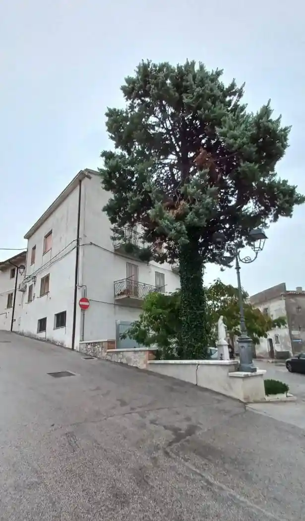 Palazzo - Edificio - foto 3