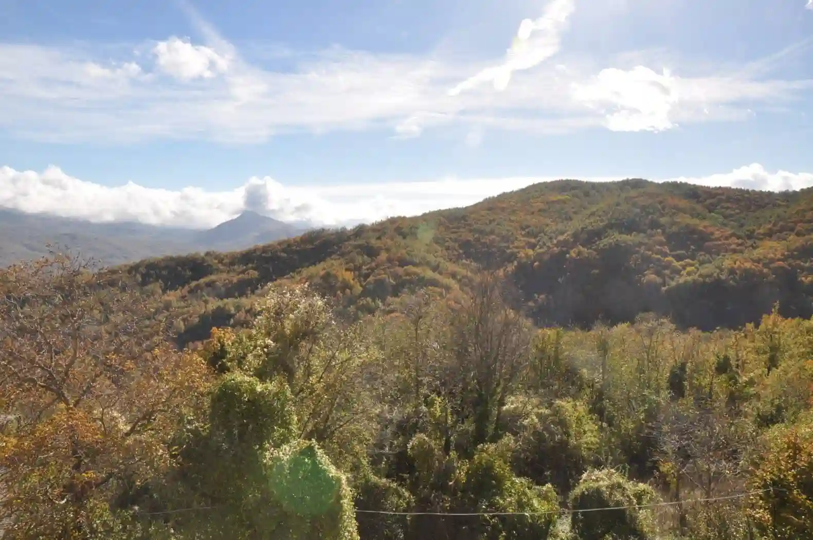 Palazzo - Edificio - foto 4