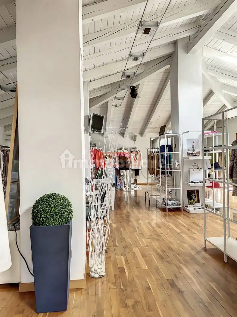 Villa in vendita a Mogliano Veneto