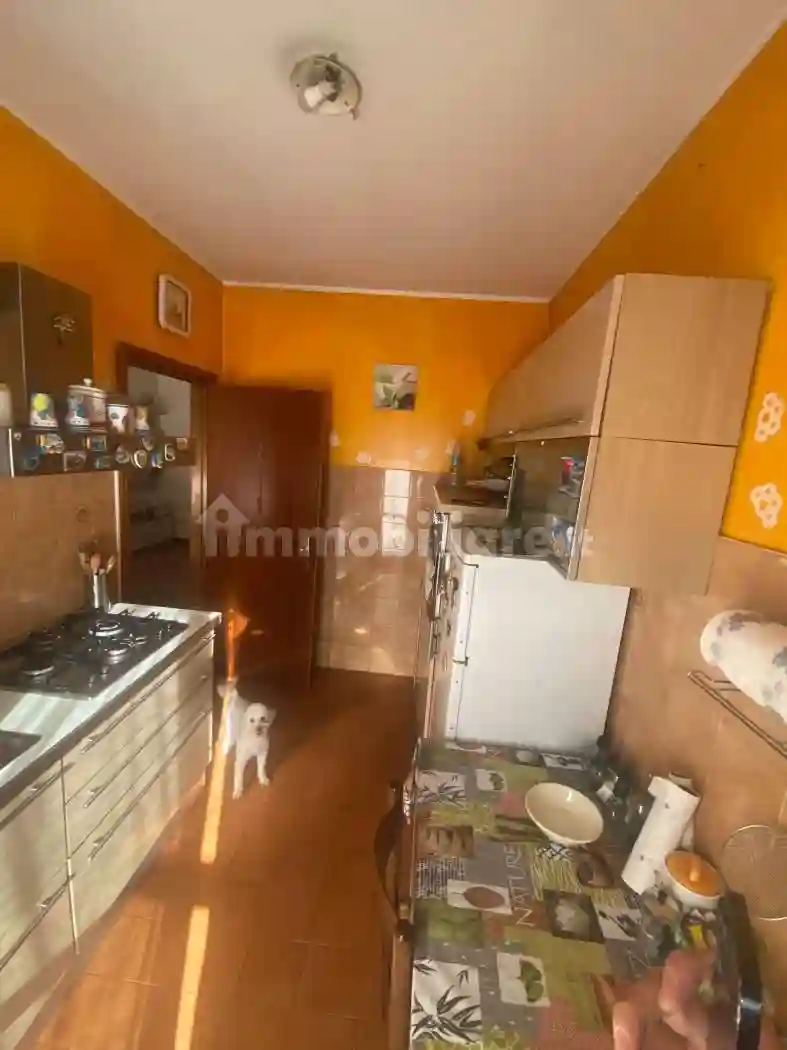 Palazzo - Edificio - foto 5