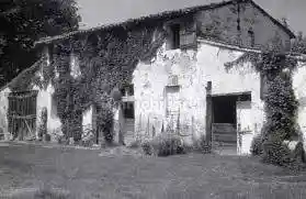 Rustico - Casale in vendita a Albinea