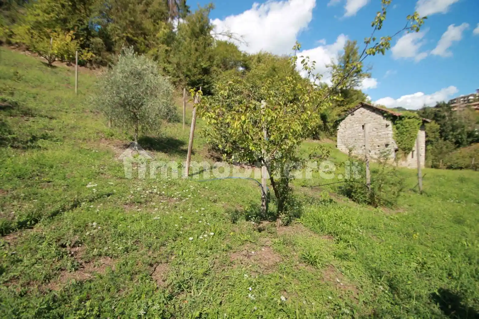 Rustico - Casale in vendita a Sant'Omobono Terme