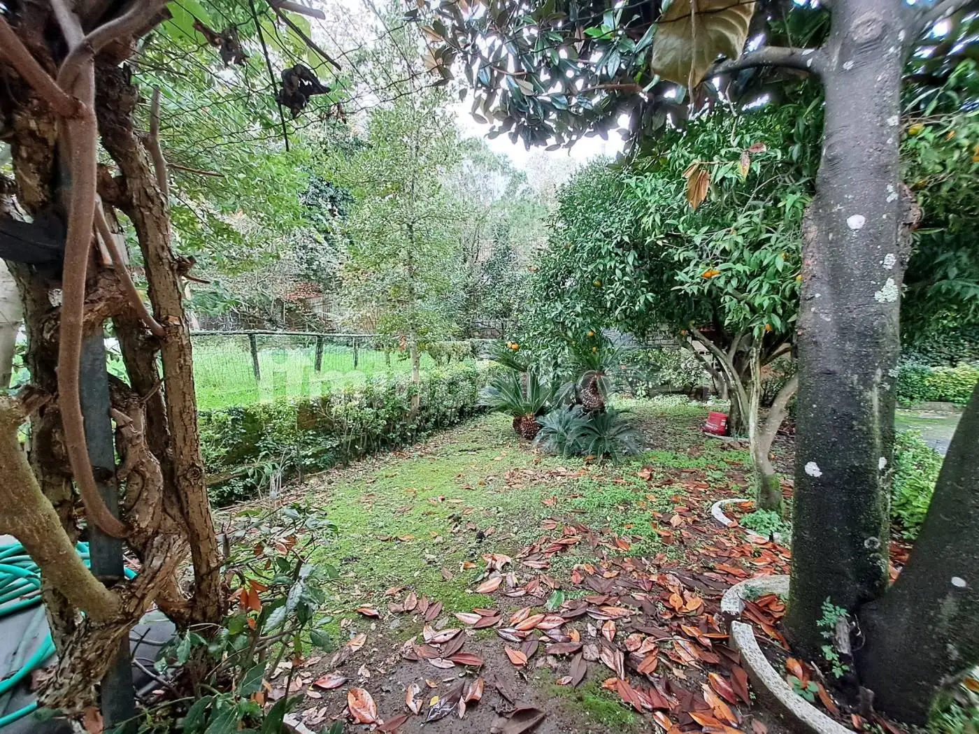 Villa in vendita a Napoli