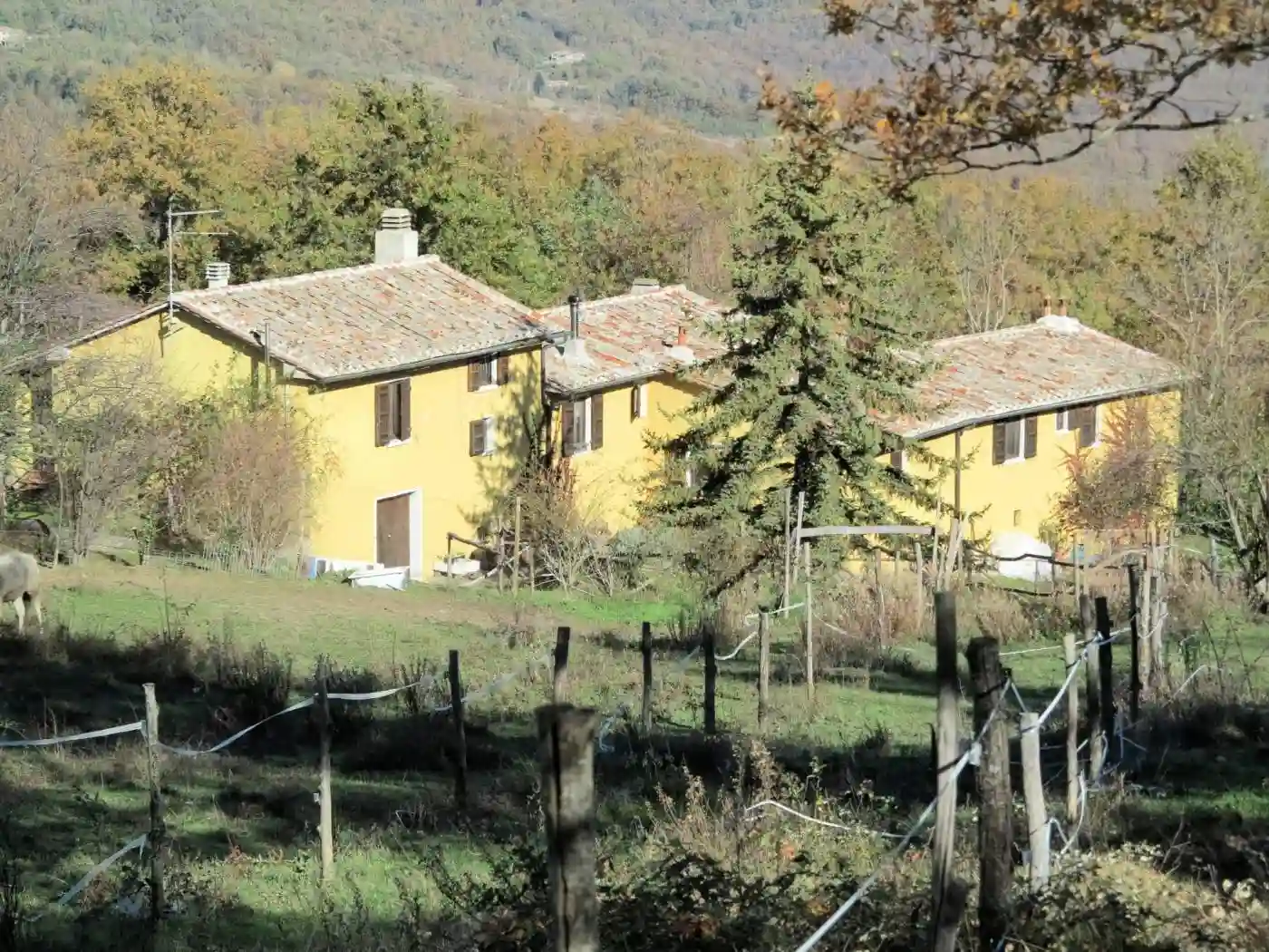 Rustico - Casale - foto 2