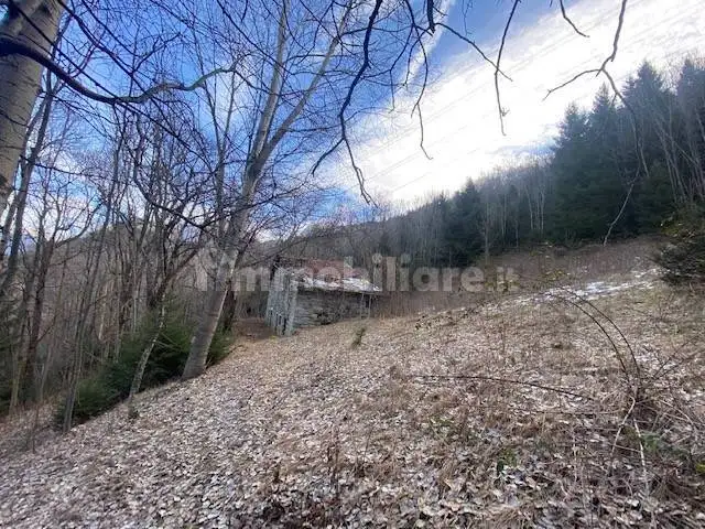 Cascina, da ristrutturare, 320 m², Berzo Demo - foto 3