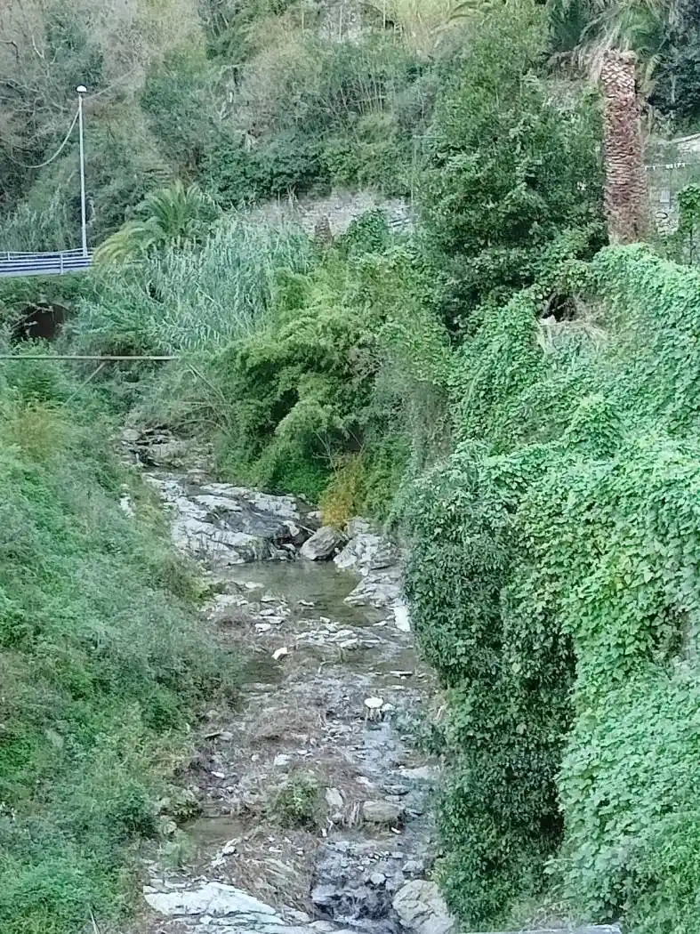 Appartamento in vendita a Sori